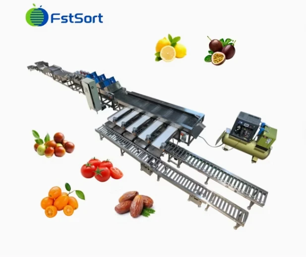 Fully Automatic Grading Packing Line For Limes Dates suppliers