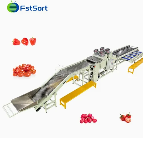 High Efficiency Small Cherry Radish Grading Machine suppliers