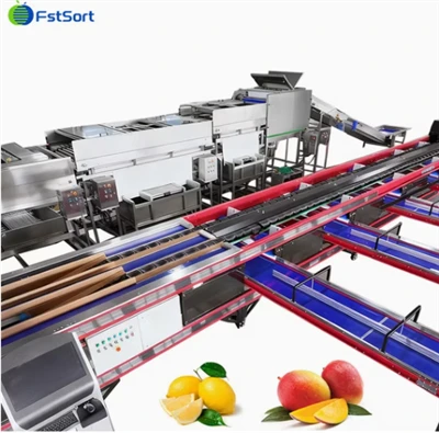 FstSort خودکار مینگو ویٹ پروسیسنگ لائن